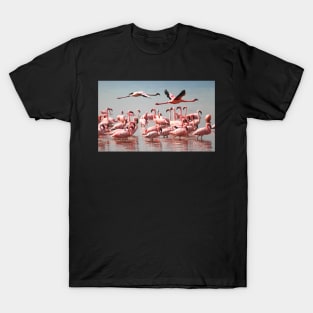 Fly Past, Lesser Flamingos, Lake Nakuru, Kenya T-Shirt